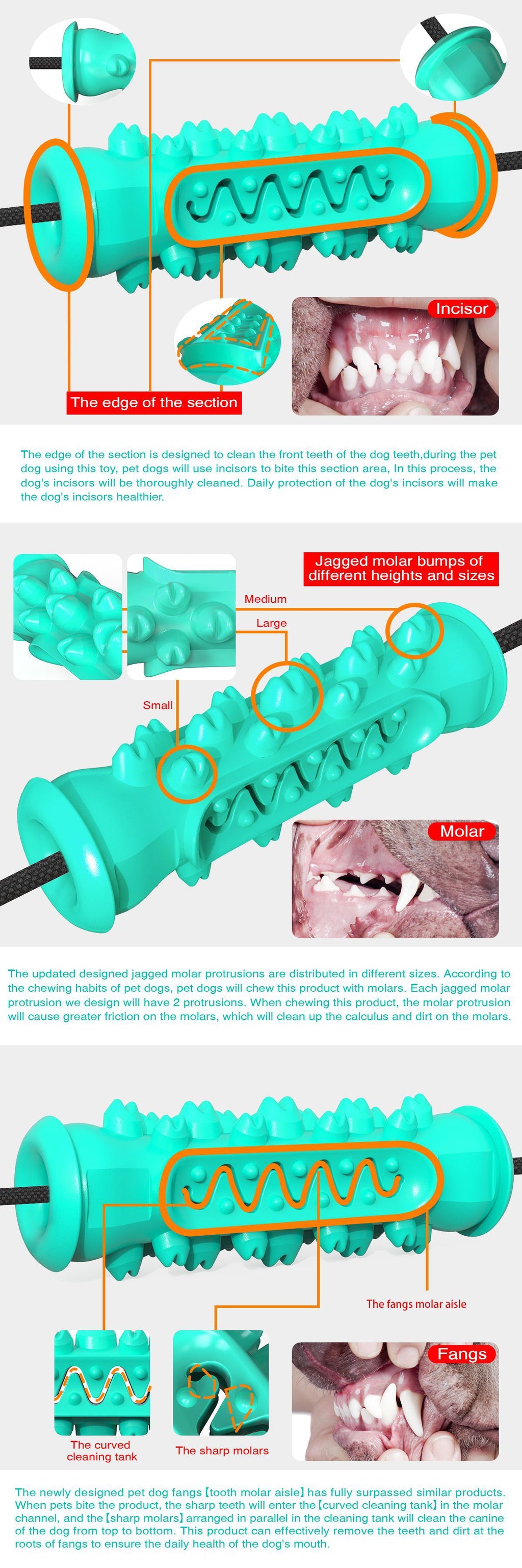 Double Suction Cup Pull Dog Toy Molar