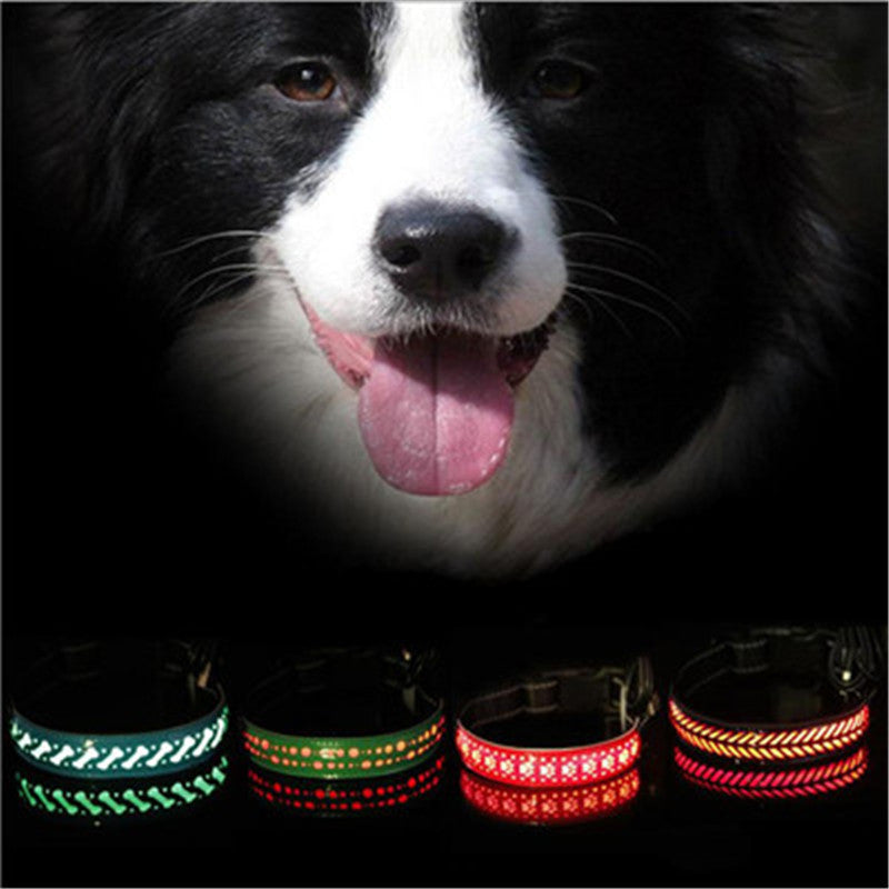LED Light Dog Collar
