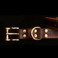 Genuine Leather Dog Collar With Engraved Nameplate