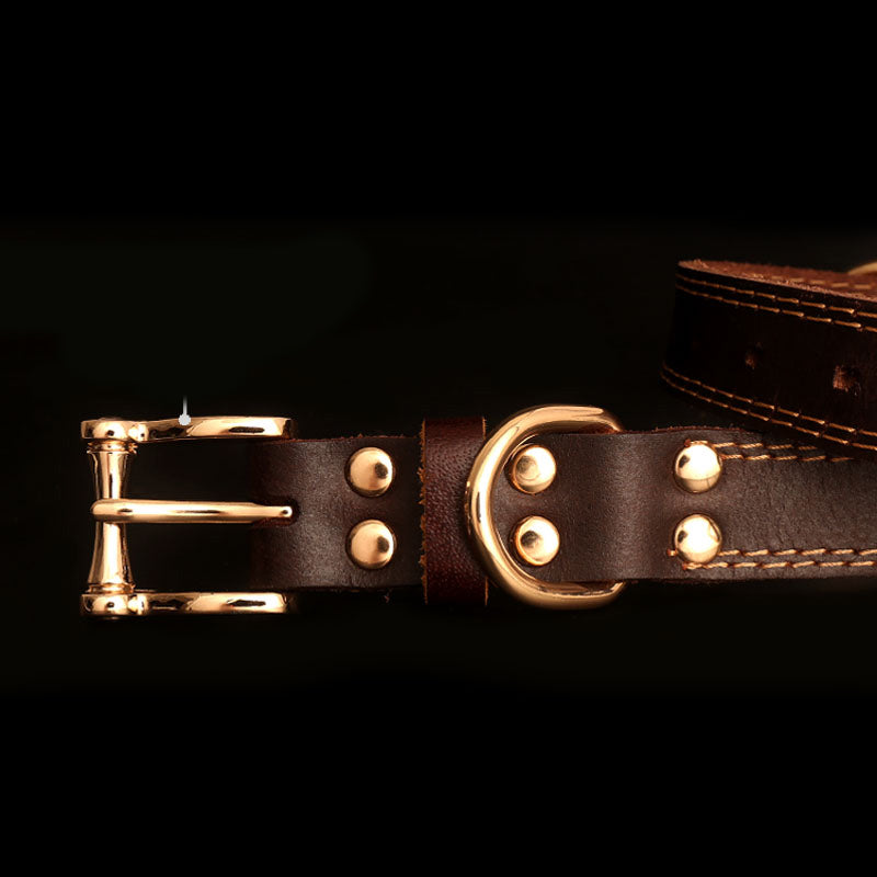 Genuine Leather Dog Collar With Engraved Nameplate