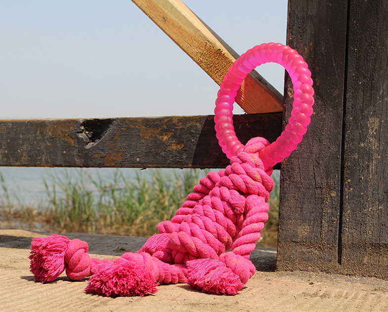 Big Dog Interactive Knot Toy