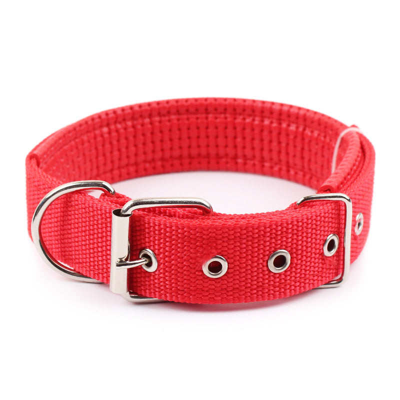 Pp Braid Lined Polypropylene Pet Foam Dog Collar