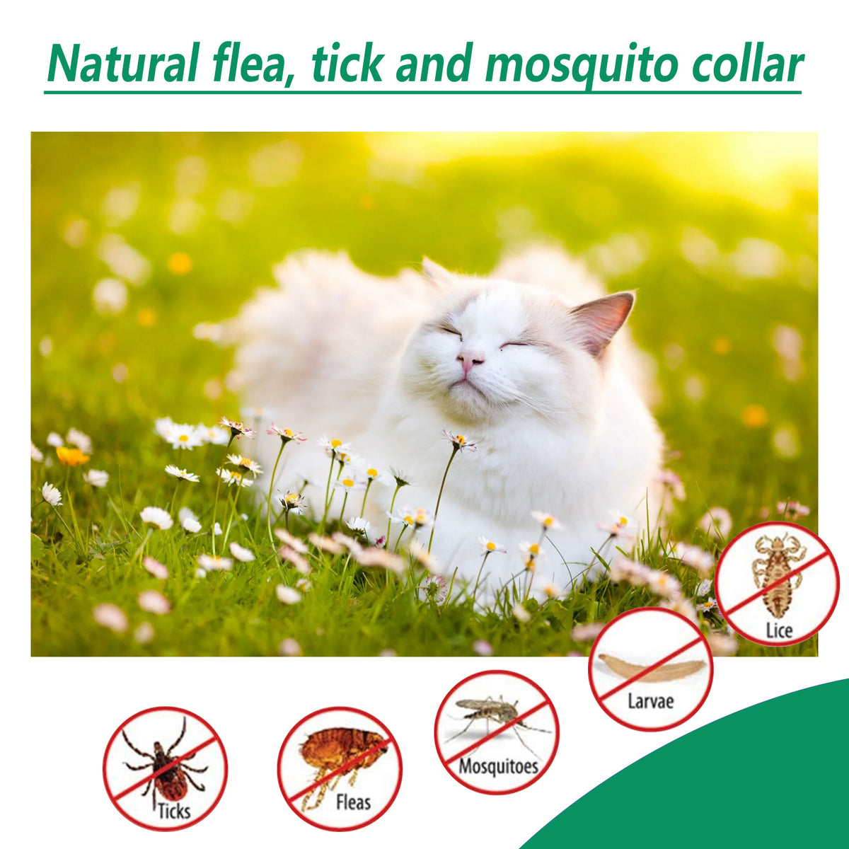 Pet Insect-Proof Collar Adjustable Insect Repellent