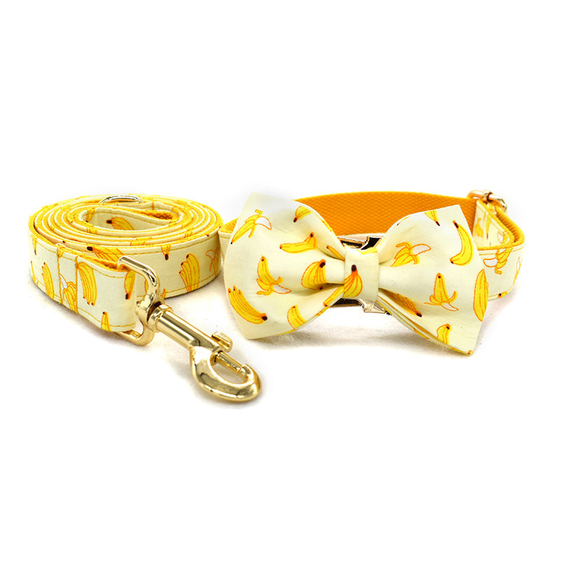 Gold Buckle Rope Dog Collar