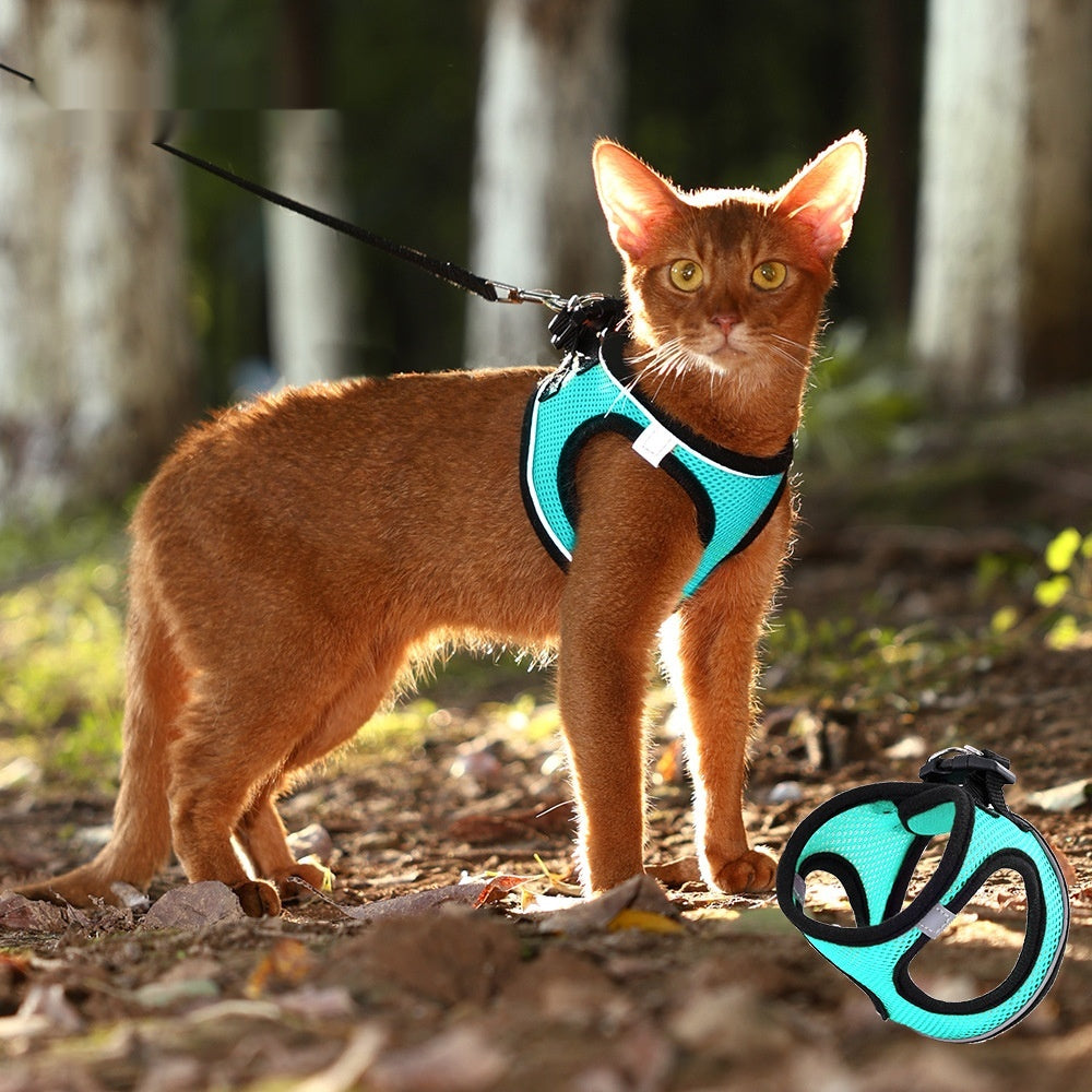 Vest-Style Mesh Harness and Leash Set