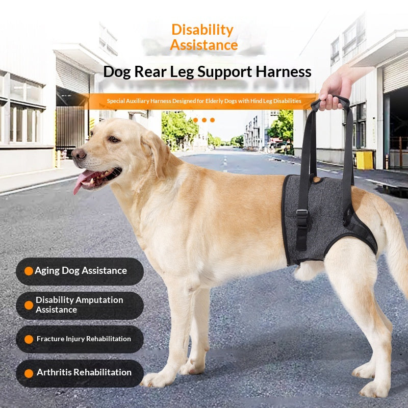 Retractable Dog Harness