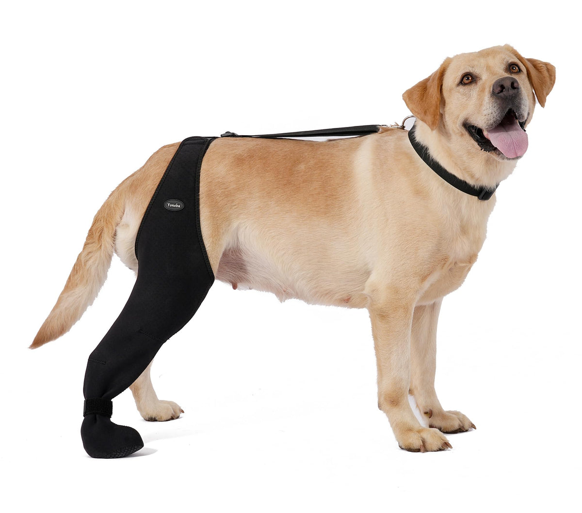 Dog Socks To Prevent Licking Paws , Breathable Leg Sleeve To Stop Licking And Biting, Firm And Secure Adjustable Size Dog Recovery Sleeve So