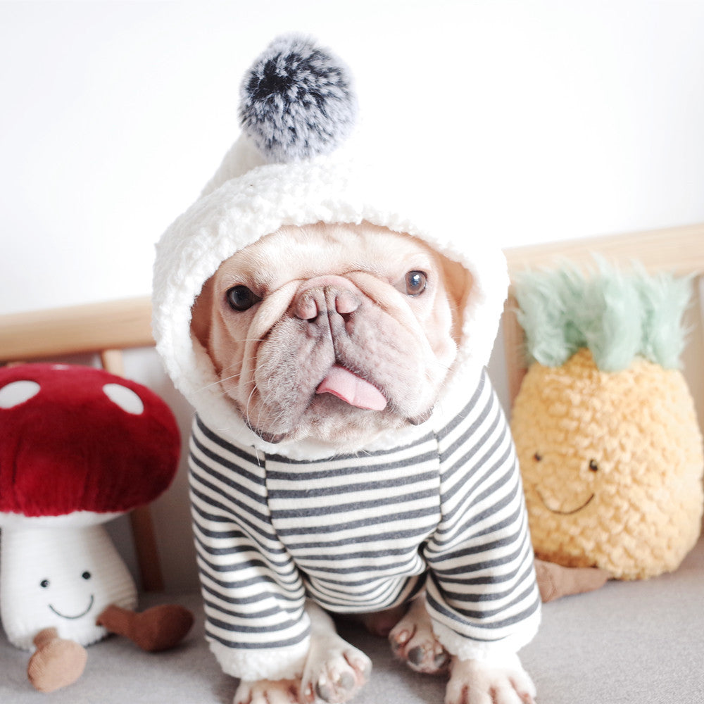Pet Dog Lamb Velvet Striped Knitted Hooded Sweater