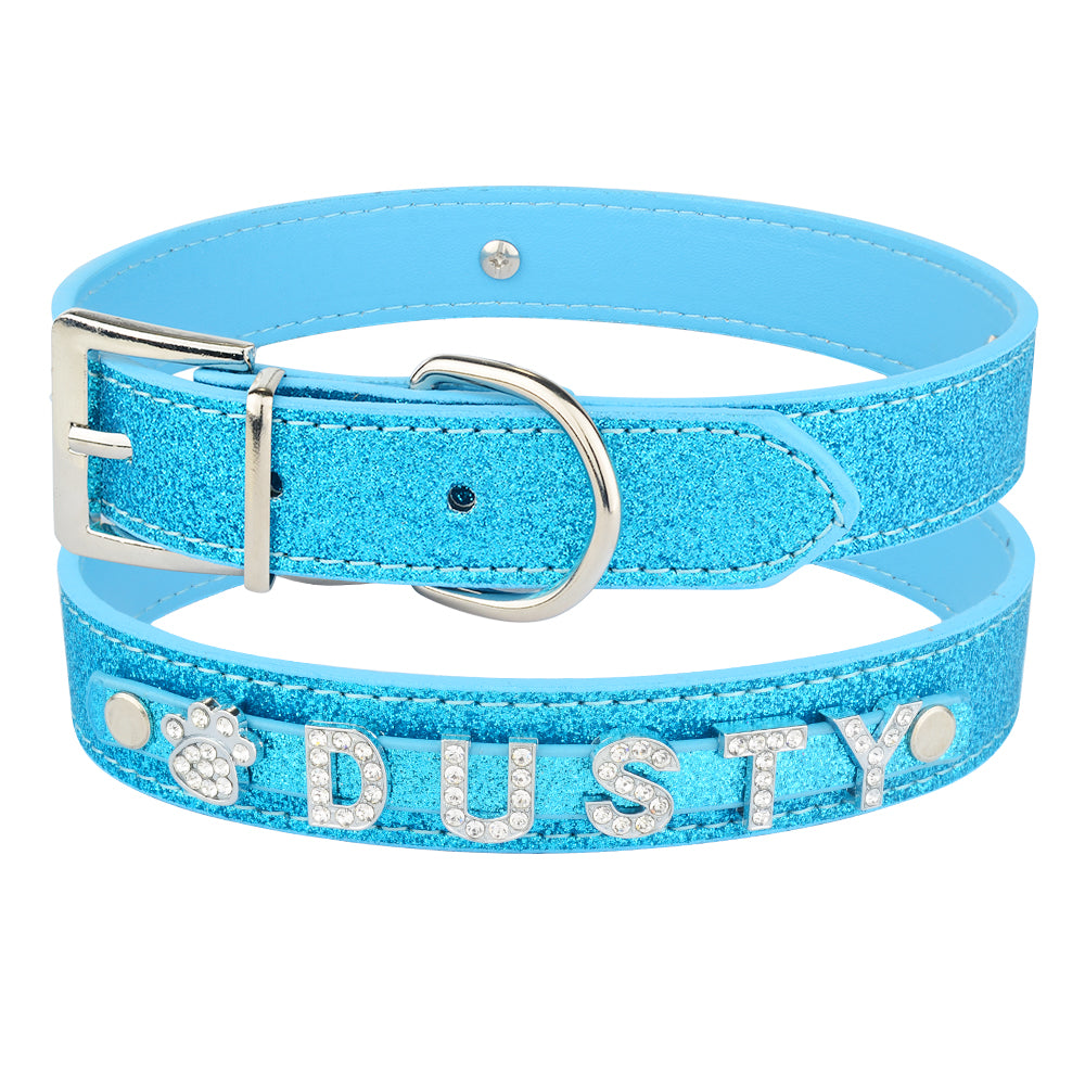 DIY Alphabet Dog Collar Accessory