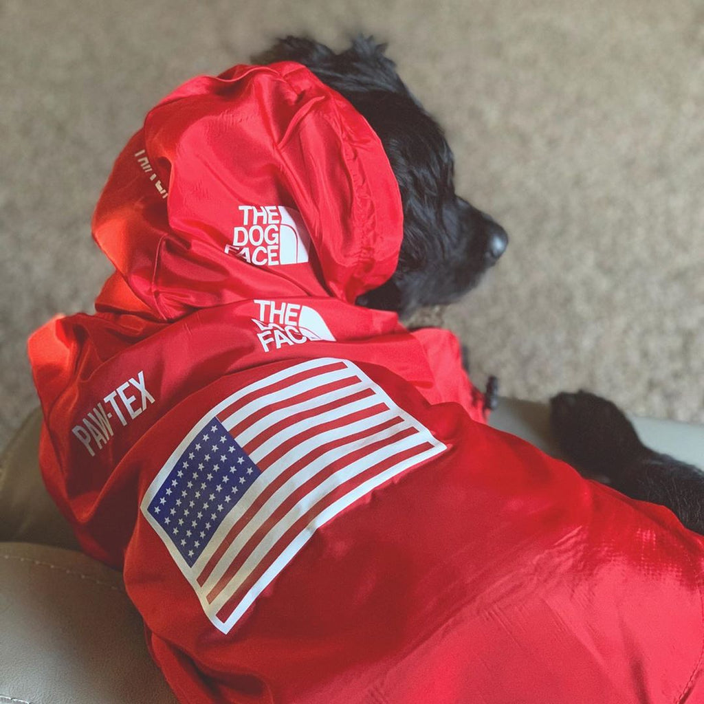 Windproof Rainproof Large Dog Raincoat