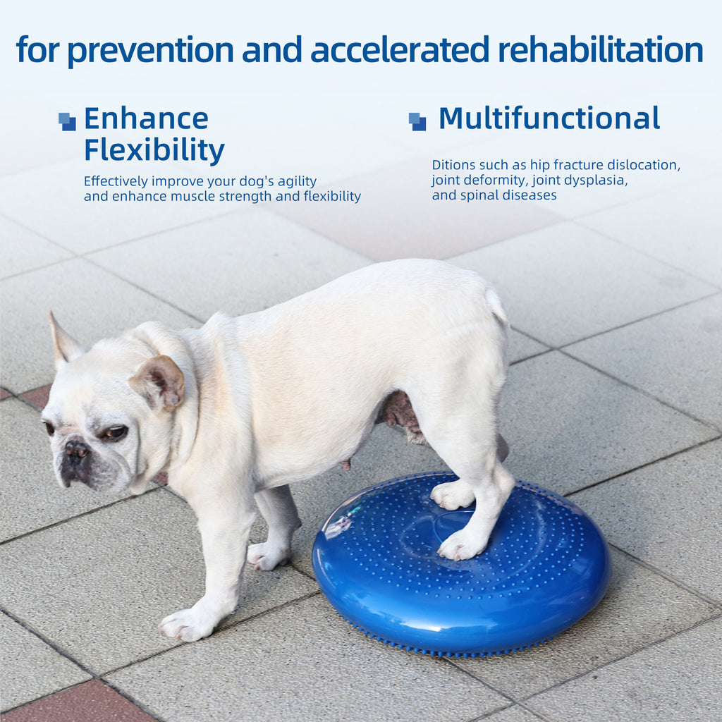 Thickened PVC Pet Balance Disc and Training Pad