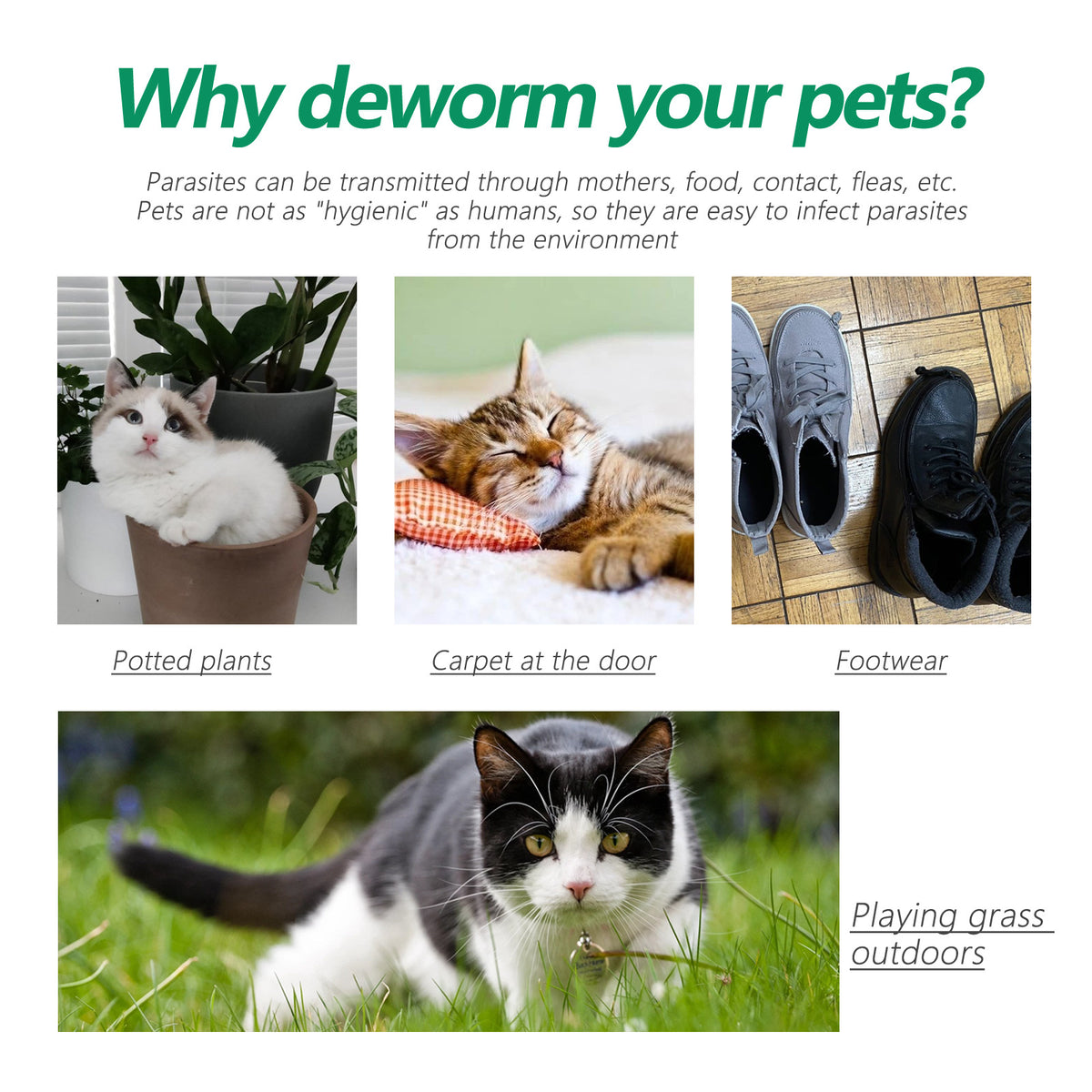 Pet Insect-Proof Collar Adjustable Insect Repellent