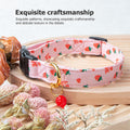 Adjustable Dog Collar For Traction