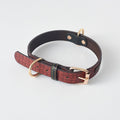 Simple PU Dog Leash And Collar