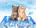 Washable Gel Pet Cooling Pad( Only Available In Thailand Warehouse)