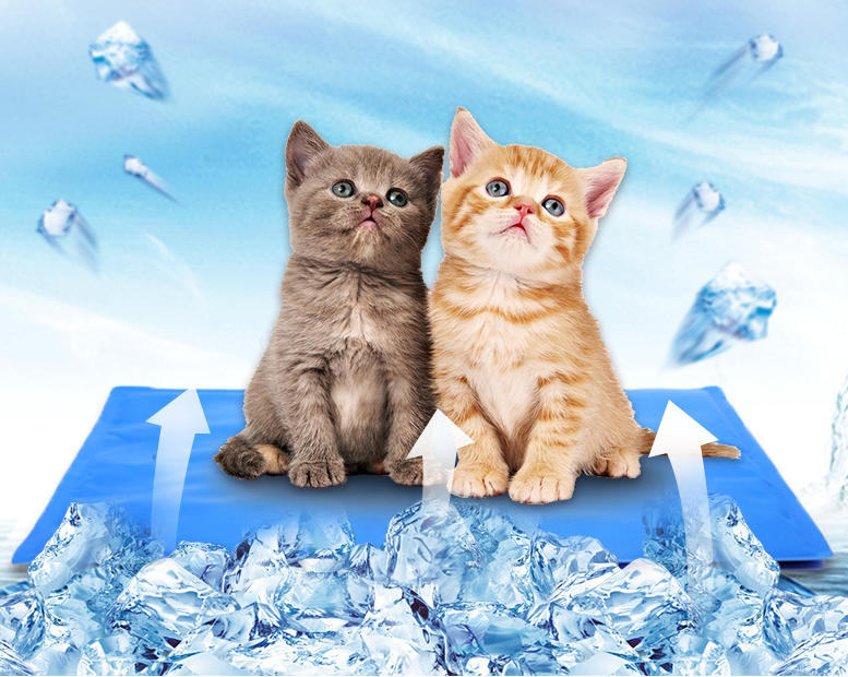 Washable Gel Pet Cooling Pad( Only Available In Thailand Warehouse)