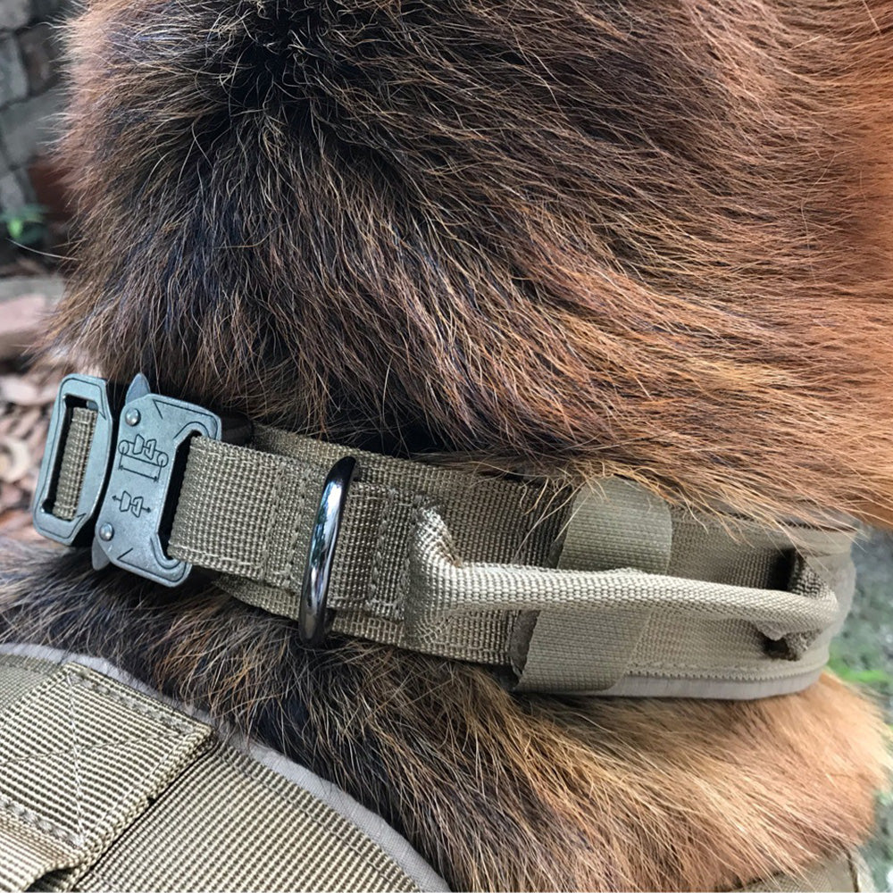 Durable Nylon Dog Collar