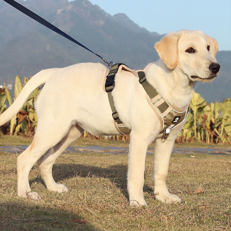 Explosion-Proof Chest Strap Medium Large Dog Vest