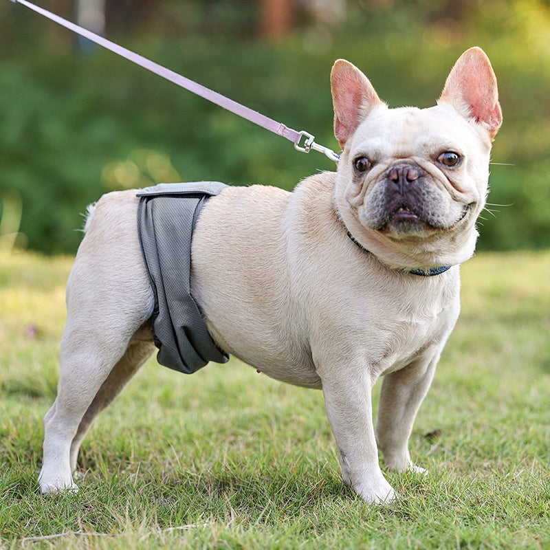 Sterilization Male Dog Diaper Bellyband