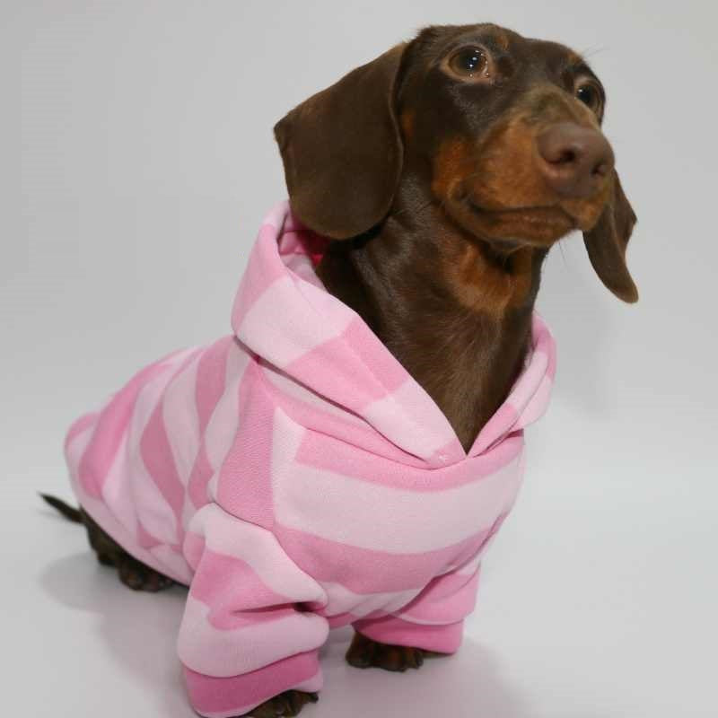 Hooded Pink Pet Sweater for Autumn and Winter