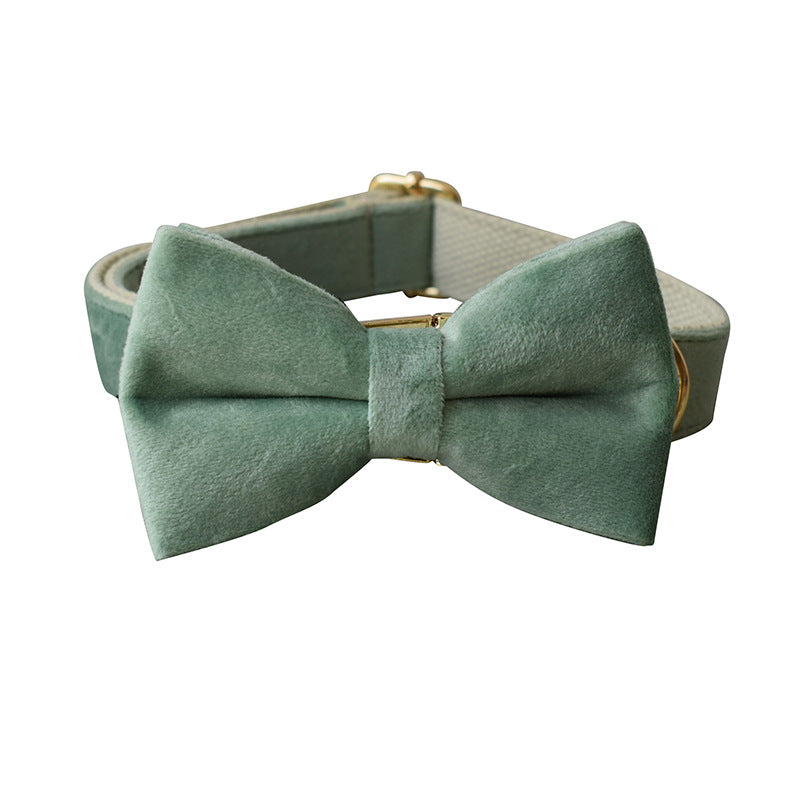 Mint Green Dog Collar And Leash