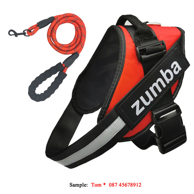 Personalized Reflective Adjustable Dog Harness And Leash Set