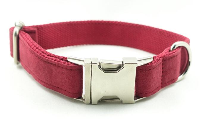 Everyday Dog Traction Collar