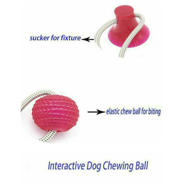 Multifunction Dog Bite And Molar Toy