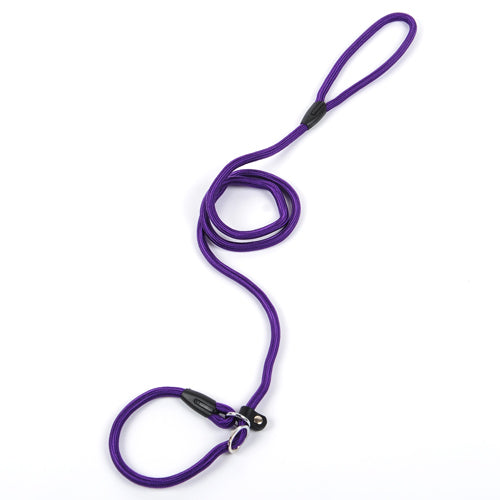 Nylon Dog Leash