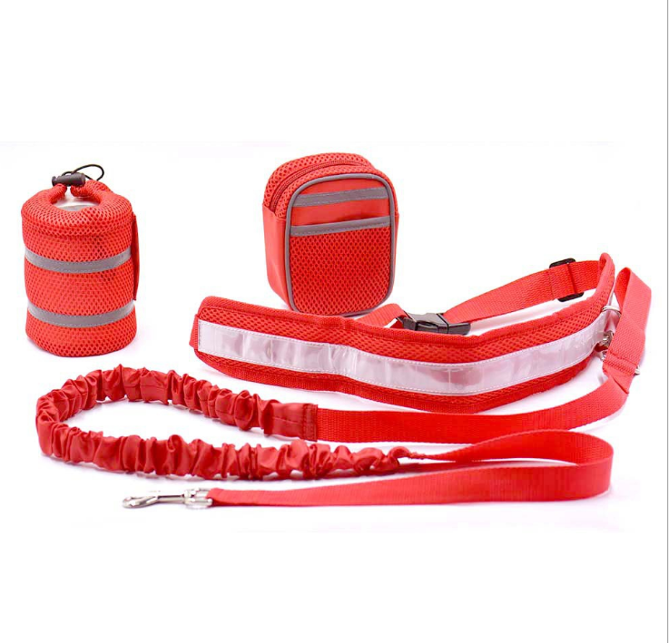 Adjustable Hands-Free Dog Leash