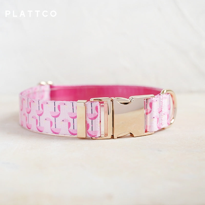 New Flamingo Dog Collar