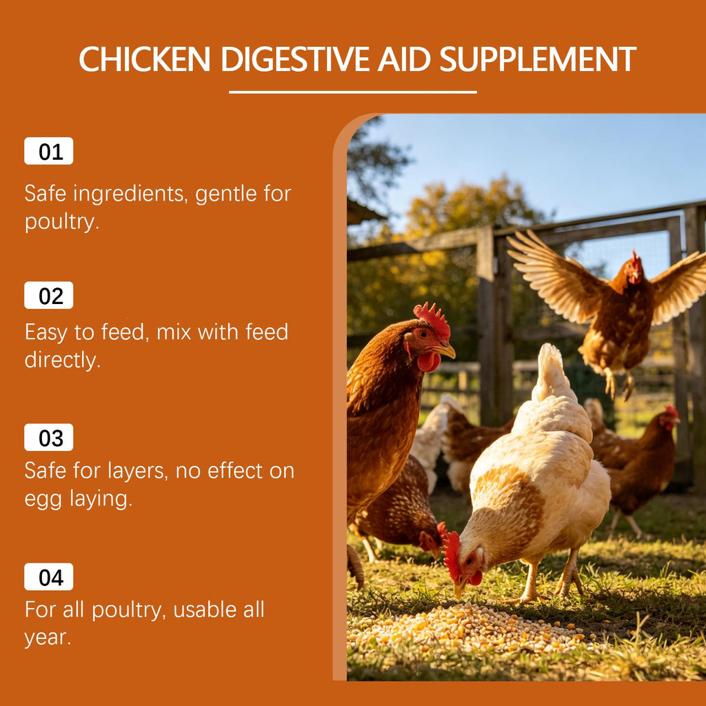 Chicken Care Nutritional Feed Additive