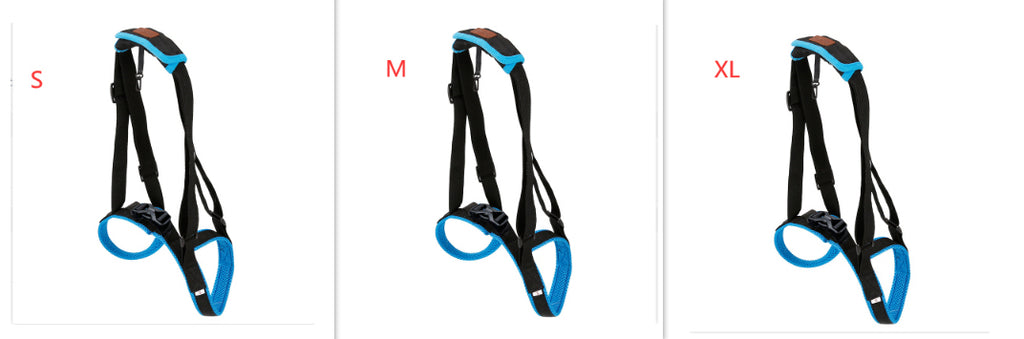 Pet Leg Strap Walking Support Dog Leg Support