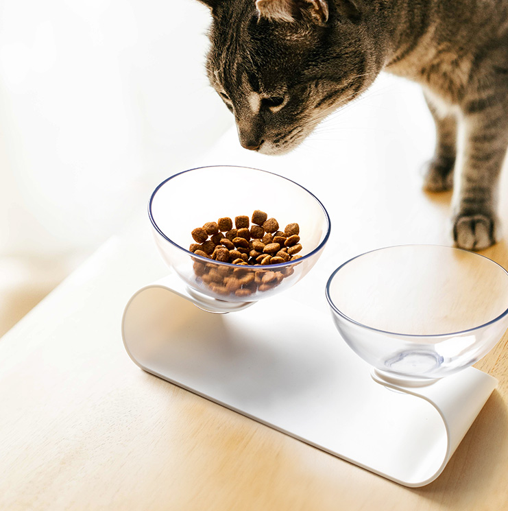 White Double Pet Bowl