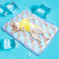 Pet Cooling Mat