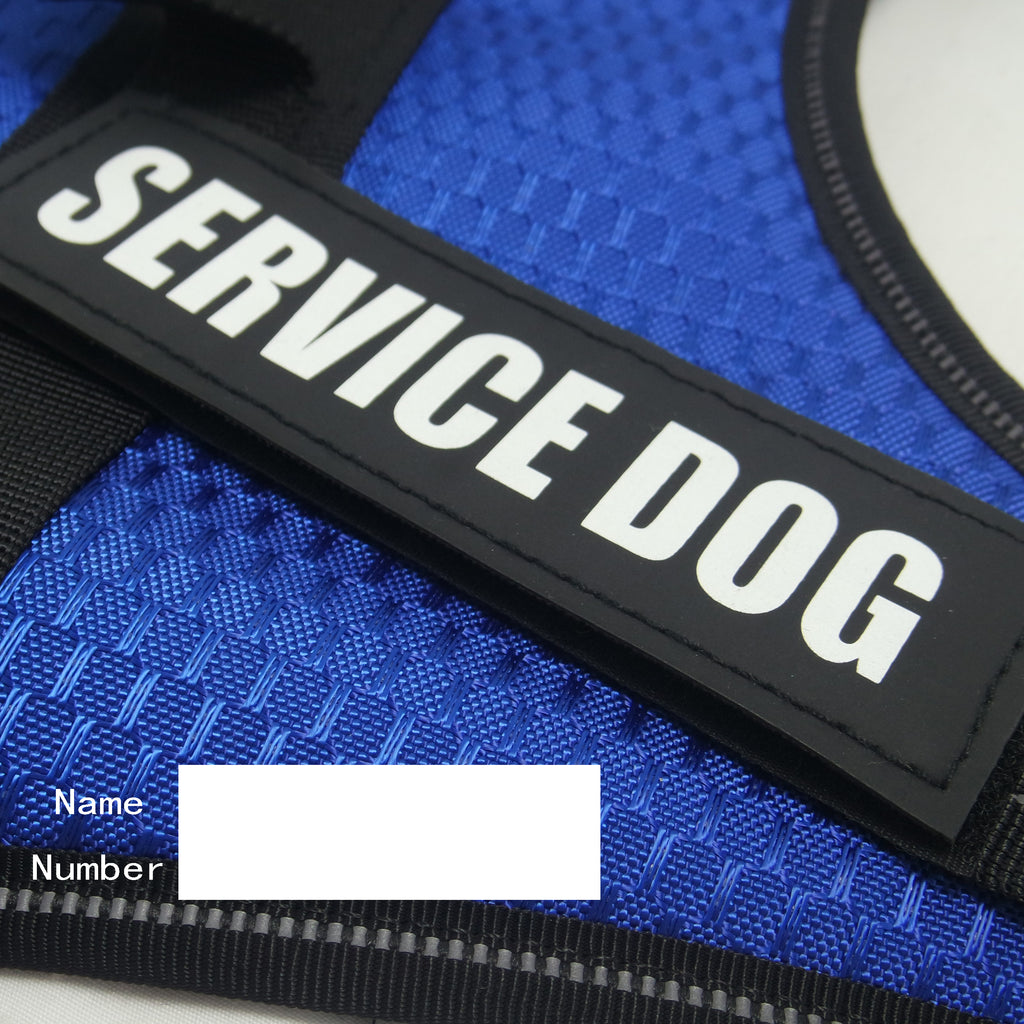 Custom Pet Harness