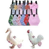 Pet Diapers for Chickens Ducks and Geese