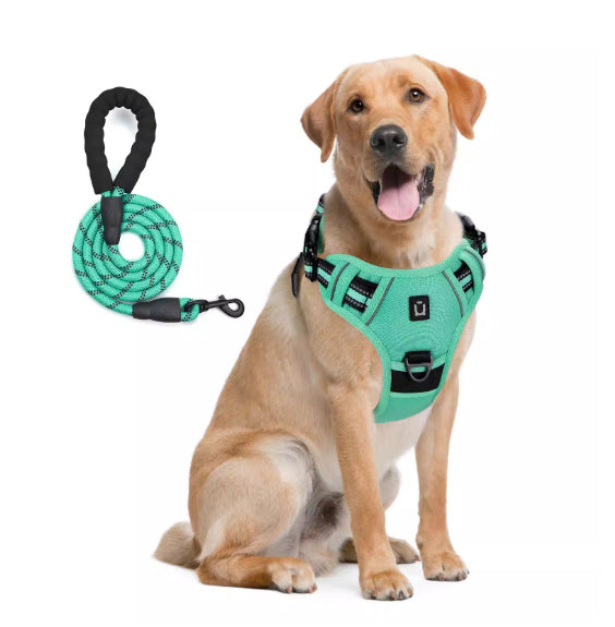 Dog Harness And Leash Combo With Escape Proof Design