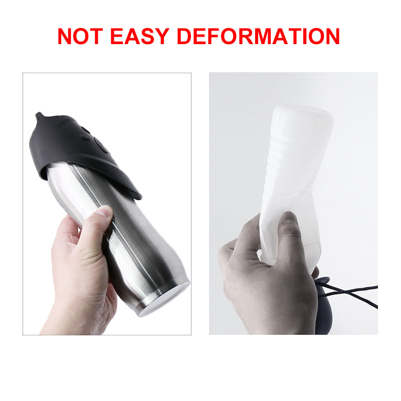 Stainless Steel Pet Water Bottle