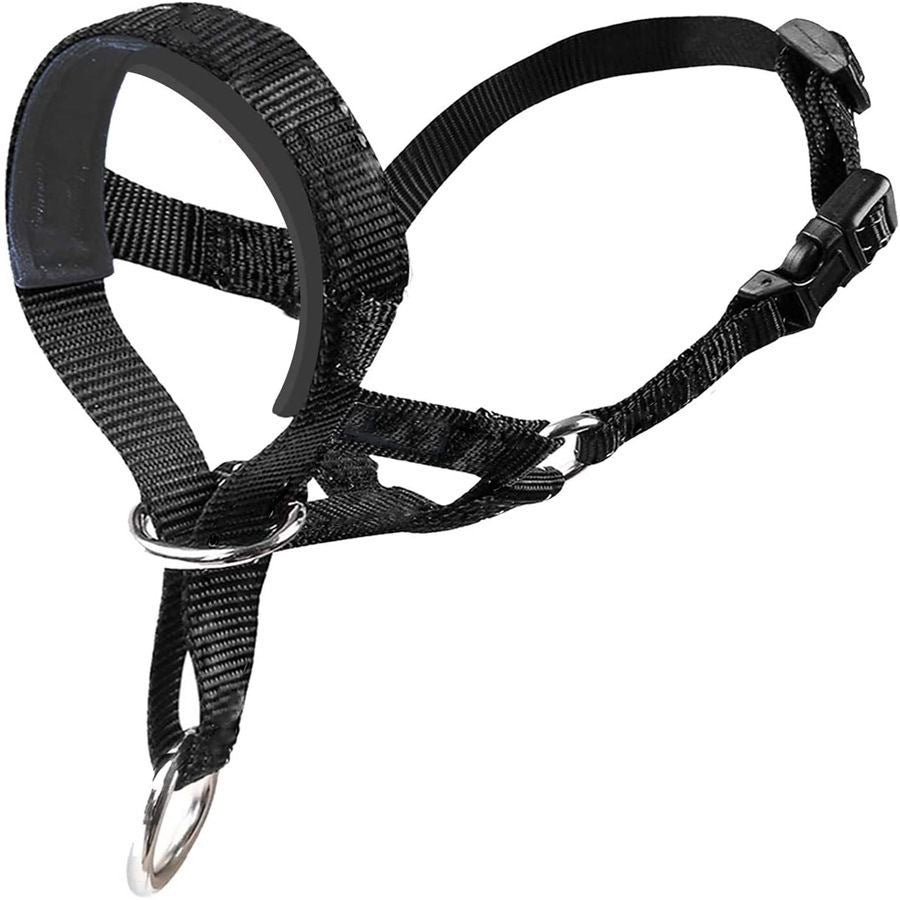 Short-Handled Dog Walking Leash