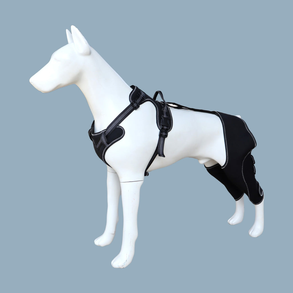 Pet Knee Brace Strap