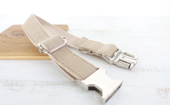 Pet Dog Traction Collar