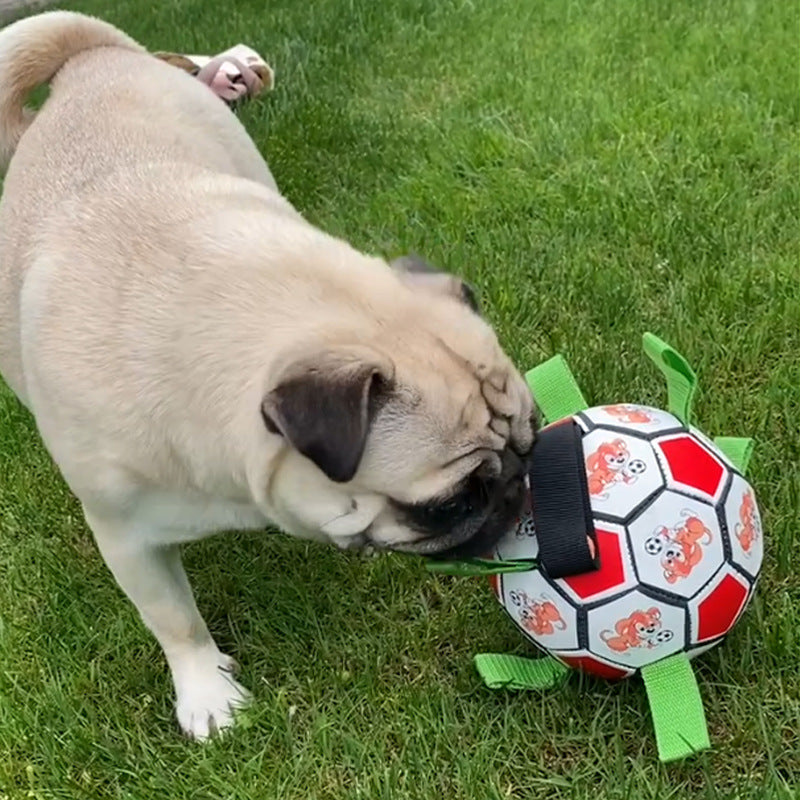 Dog Football Bite-Resistant Molar Bite-Resistant Toy