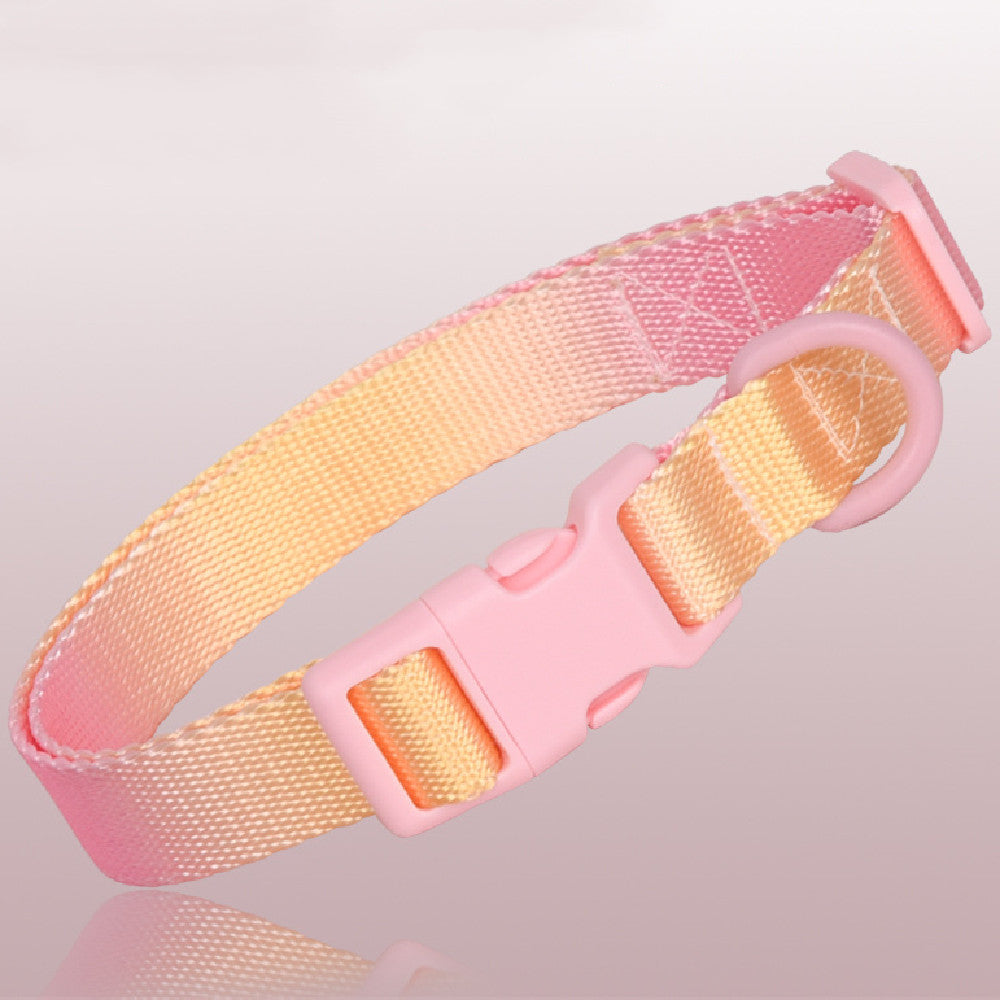 Large Anti-Rust Gradient In Dog Collar
