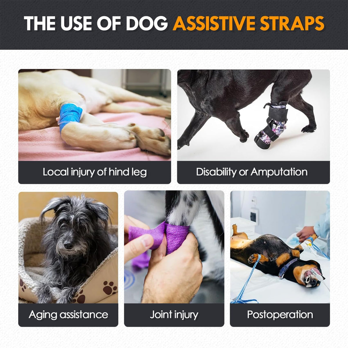 Adjustable Dog Lift Harness for Large Dogs
