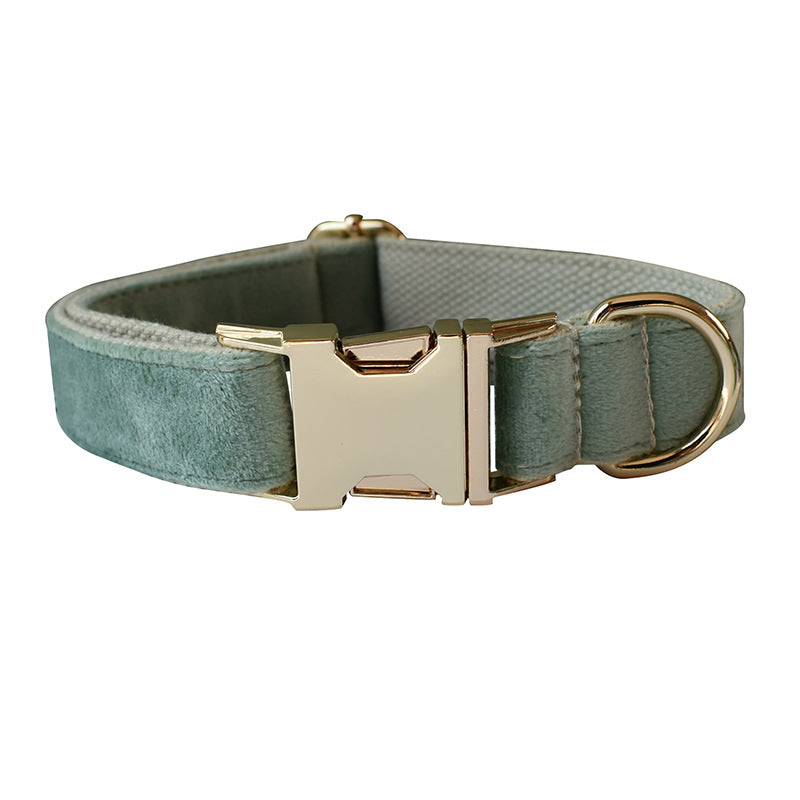 Mint Green Dog Collar And Leash
