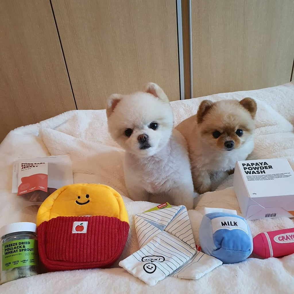 Three-Piece Toy For Dog School Bag