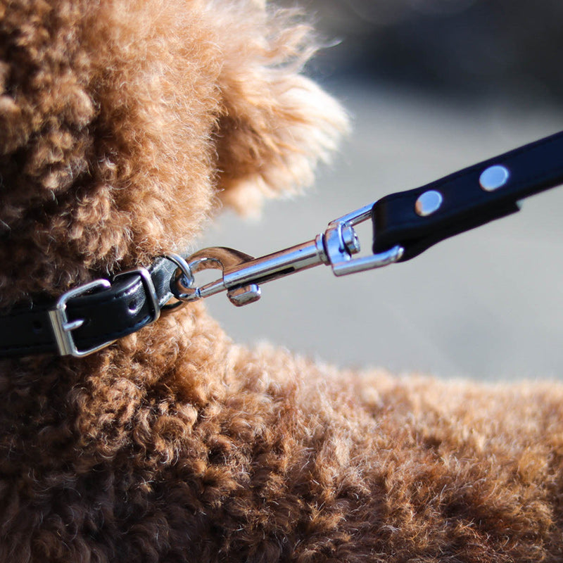 Leather Pet Leash Collar