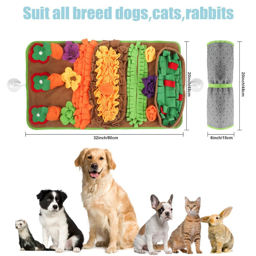 Interactive Carrot Snuffle Mat For Dogs