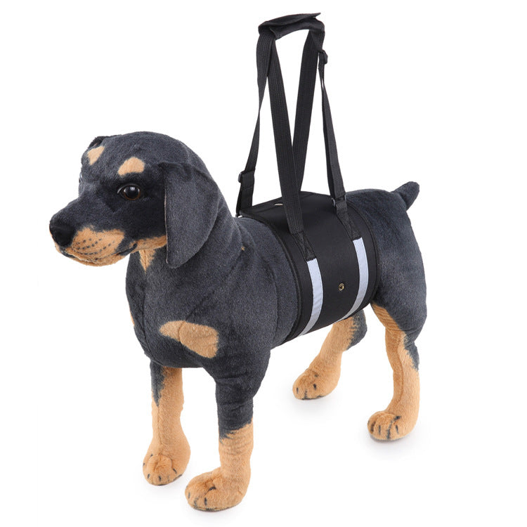 Dog Carrier With Pet-Handling Handle and Auxiliary Leash